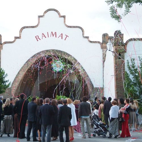 Bodas-especiales