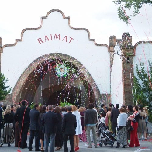 Bodas-especiales